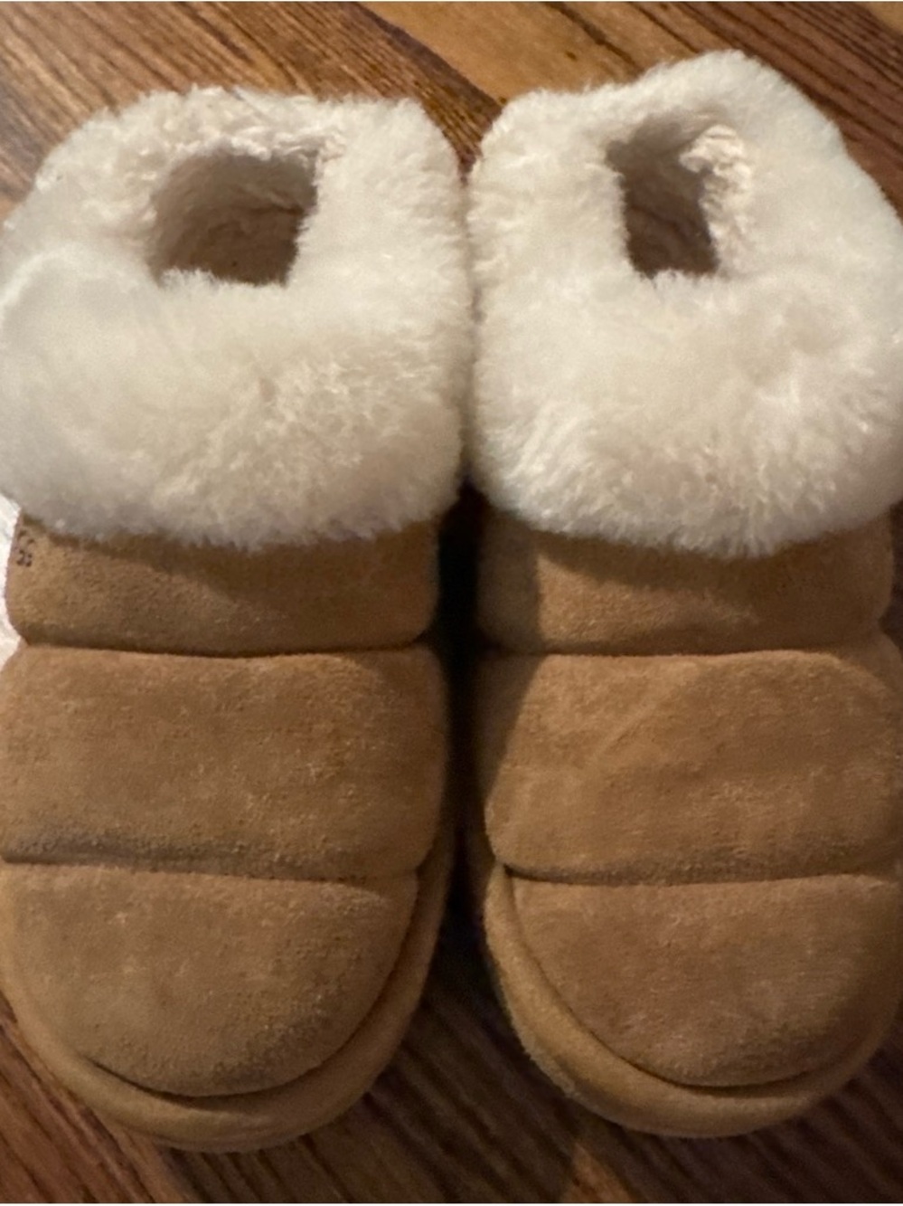 UGG Chestnut Suede Tazzlitas